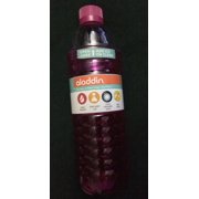 Aladdin Alad 18oz Swwv Pink