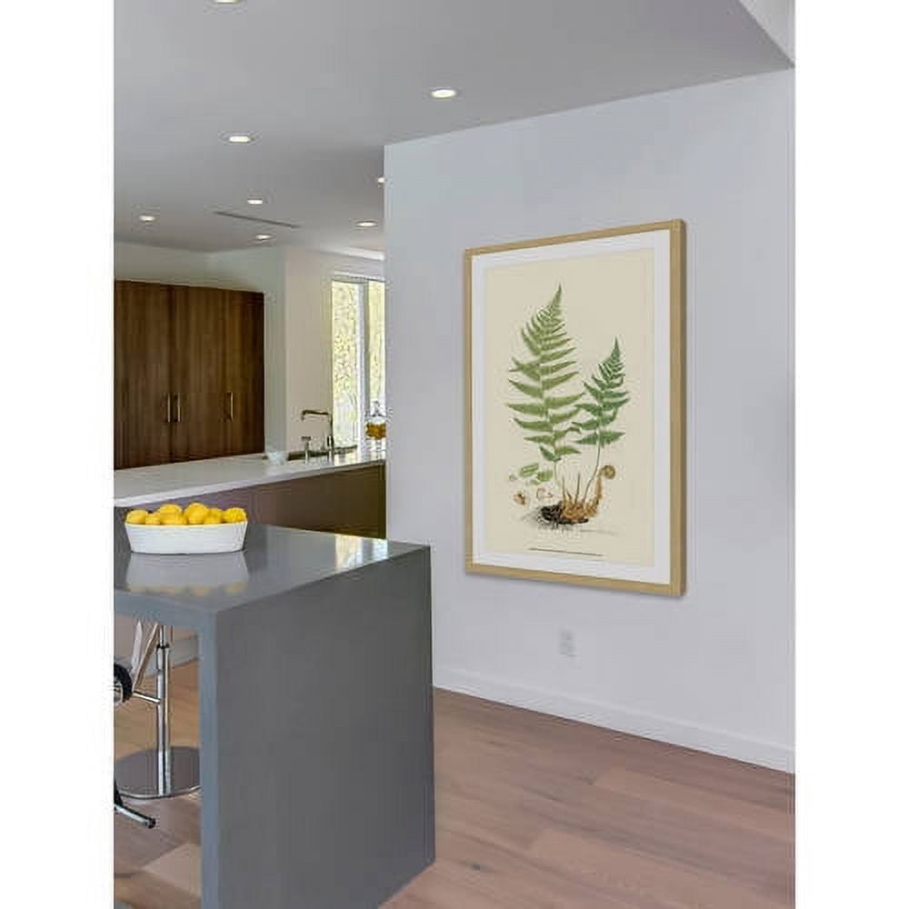 Marmont Hill "Curtis Ferns II" Framed Painting Print