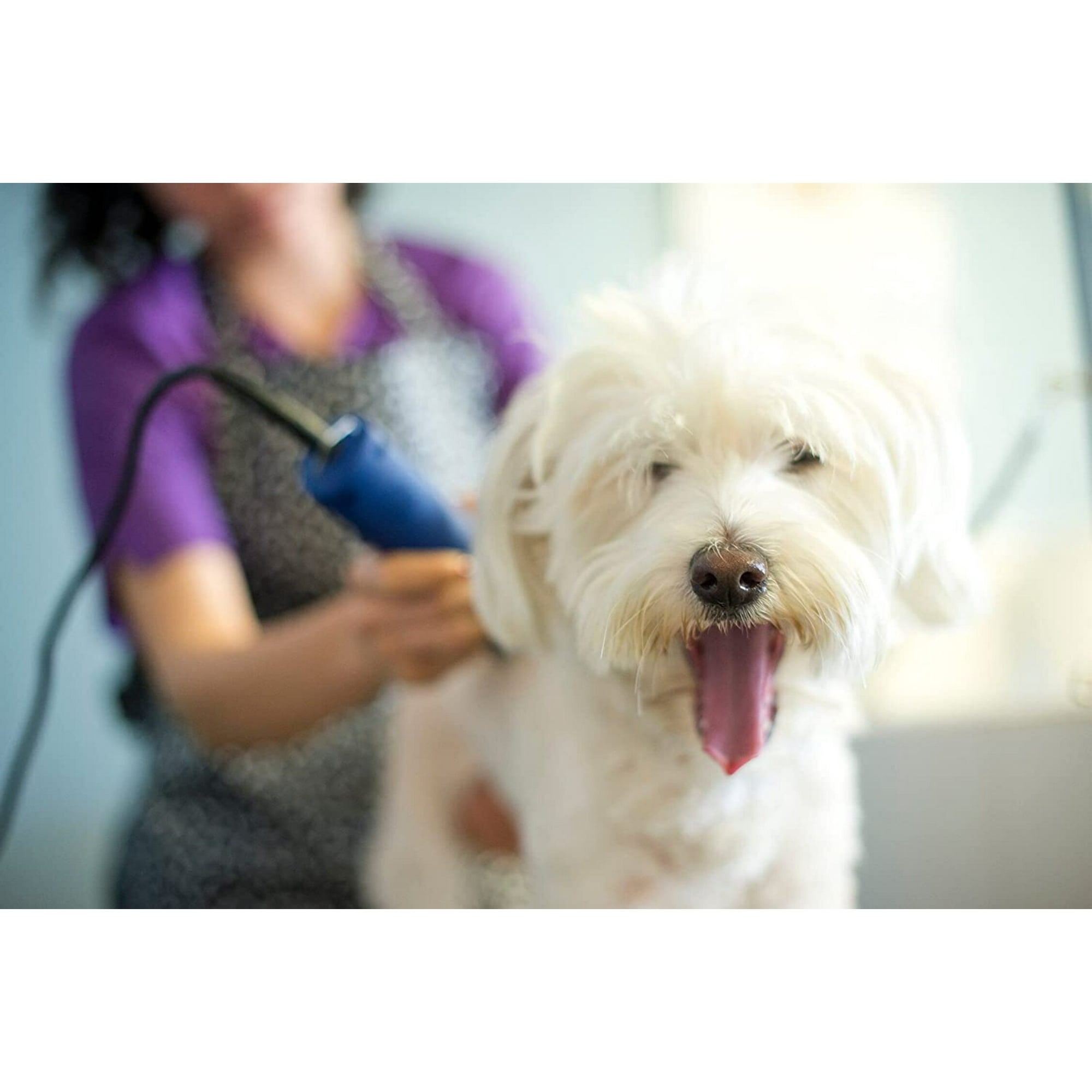 Dog clippers with detachable blades online