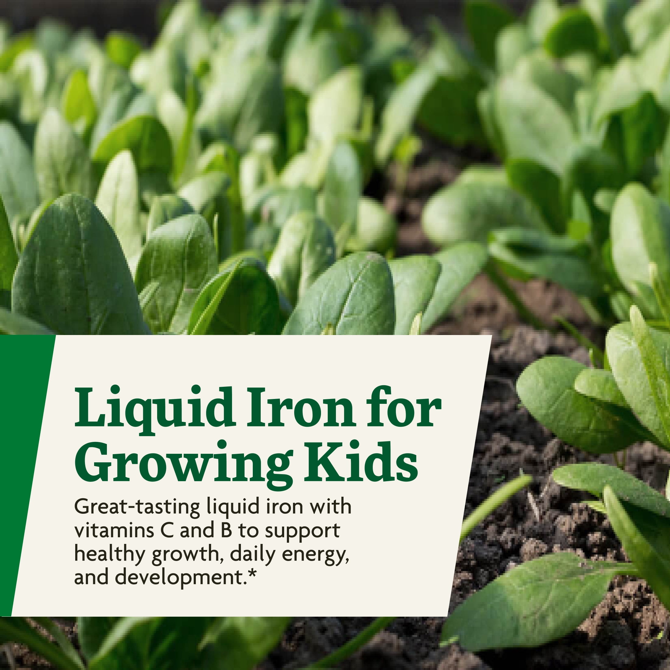 Floradix Iron Kids - Liquid Iron & Vitamin Formula - Children's Supplement with C & B Vitamins - Vegan - Raspberry-Vanilla Flavor - 8.5 fl oz