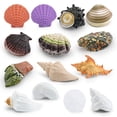 thumbnail image 1 of Juego de figuras de conchas marinas, 14 piezas, realistas, conchas oceánicas de PVC, 1 of 2