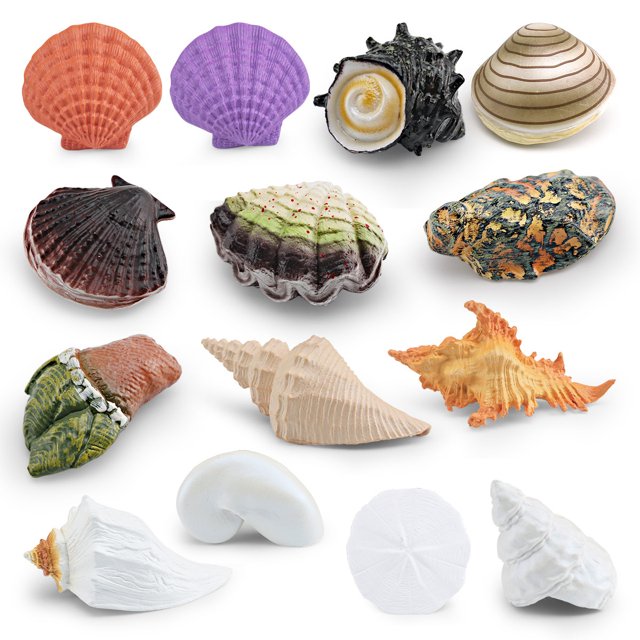 Juego de figuras de conchas marinas, 14 piezas, realistas, conchas oceánicas de PVC