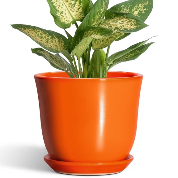 Ordivic 6 inch Orange Ceramic Succulent Pot with Drainage Hole and Saucer, Small Indoor Planter for Cactus, Mini Rose, Bonsai,Home Office Desk Decor