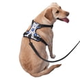 thumbnail image 2 of TEQUAN Small Dog Harness with Leash, Mystic Blue Amulet Evil Eyes Prints Reflective No Pull Adjustable Pet Vest (S), 2 of 7