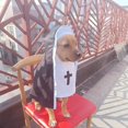 thumbnail image 6 of Halloween Nun Cloak Costume For Small Cats And Dogs Soft Cotton Cosplay Dress, 6 of 7