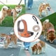 thumbnail image 5 of Arnés y Correa para Perro con Tira Reflectante, Chaleco de Malla Suave, Correas Ajustables con Tela Transpirable para Mascotas Pequeñas, 5 of 6