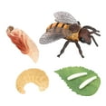 thumbnail image 2 of Conjunto de modelos de ciclo de de animales Juguete de salmón Colección de juguetes educativos para Sunnimix  Juego de crecimiento de tortugas marinas, 2 of 8