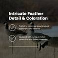 thumbnail image 3 of Avian X AXP Honkers Fusion Pack Decoys Bundled with Lessers 6 Piece Fusion, 3 of 12