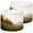 Color 3, variant on Forest Lampshades 2 Pack Sunlight Streaming Trees Misty Forest Autumn Foliage 13"x13"x10" Light Shade for Table Lamps Floor Lamp Shades Lampshade Replacement Easy Assembly