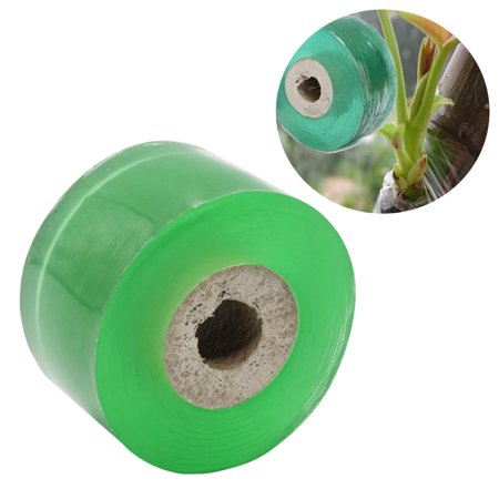 

Grafting Tape Stretchable Self-adhesive Clear Floristry Film for Pecans Walnuts Citrus Avocado Fruits Tree (2.5mm Green)