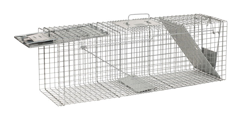 Details about   Heavy Duty Raccoon Live Trap With Bait Safely Relocate Unwanted Animals 32x10x12 