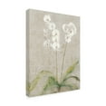 thumbnail image 2 of Cheri Blum 'Orchid Light' Canvas Art, 2 of 4