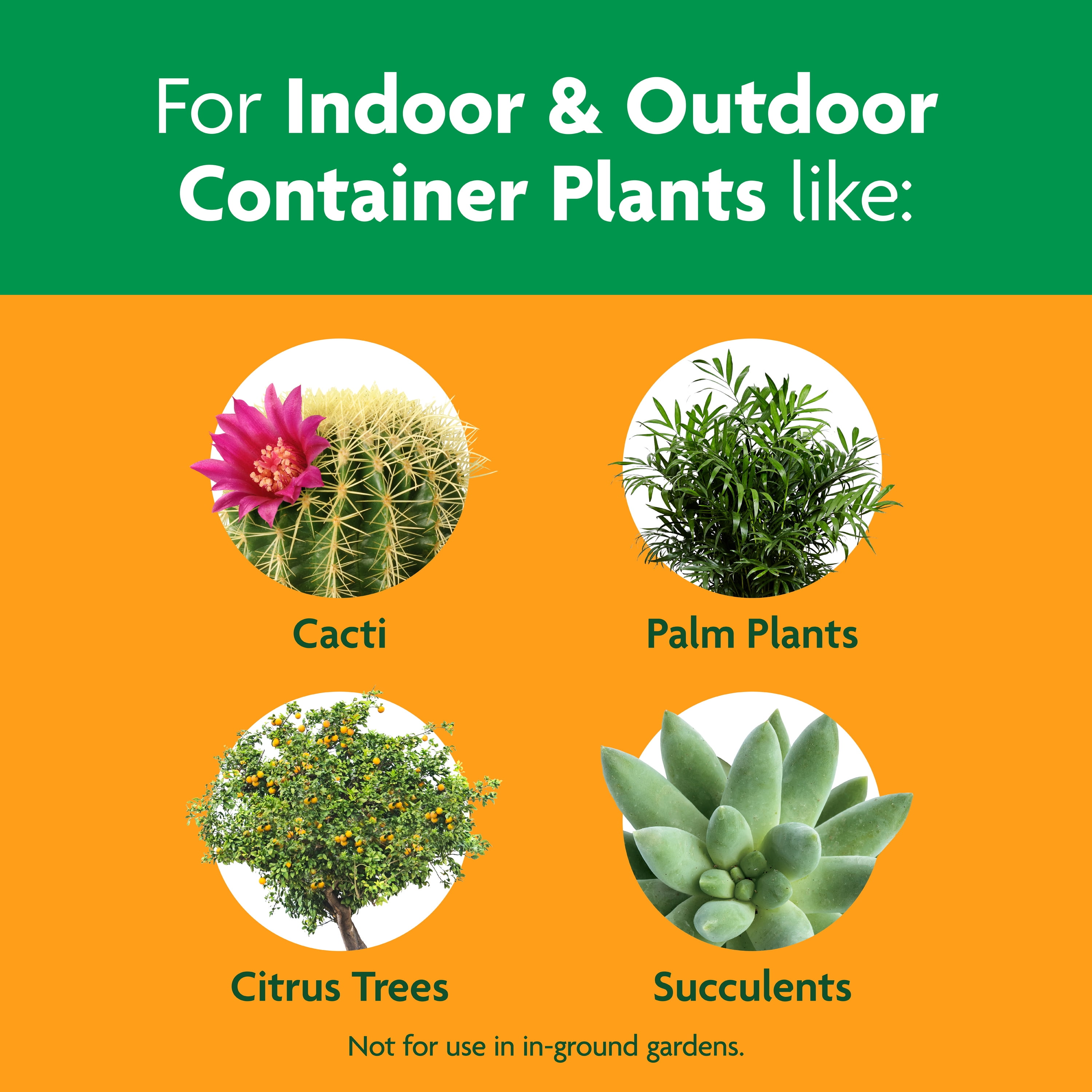 Miracle-Gro Cactus, Palm and Citrus Potting Mix, For Potted Plants, 8 qt., 2-Pack