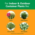 thumbnail image 4 of Miracle-Gro Cactus, Palm and Citrus Potting Mix, For Potted Plants, 8 qt., 2-Pack, 4 of 11