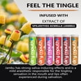 thumbnail image 4 of Xero Picks Dry Mouth Toothpicks – Xylitol Infused Flavored Toothpicks for Fresh Breath & Saliva Support – Long Lasting Oral Hydration – Variety 6 Pack (Cinnamon Mint, Churro, Caramel Apple & More), 4 of 8