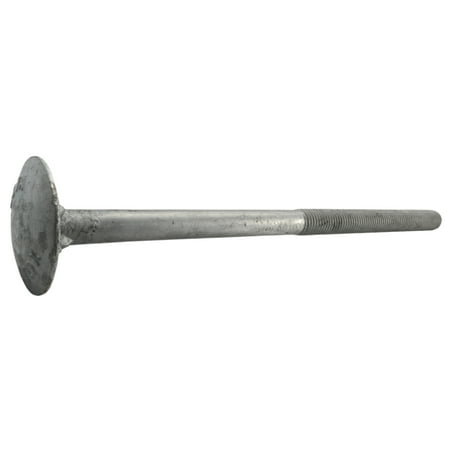 5/8 -11 x 12  Galvanized Dome Domed Head Timber Screws (25 pcs.)