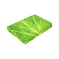 thumbnail image 6 of Wijzvio Lettuce Vegetable Throw Blanket Soft Fuzzy Fleece Blanket For Couch Bed Living Room Decoration 60"X50", 6 of 9