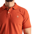 thumbnail image 3 of Playera Casual Tipo Polo Color Shedron Con Bordado Slim Fit Para Hombre, 3 of 4