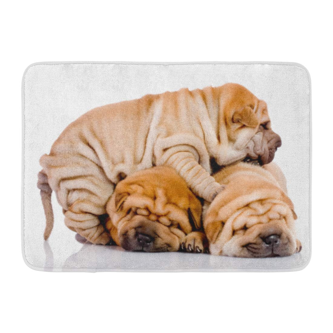 Can I Give My 1 Month Old Puppy A Bath