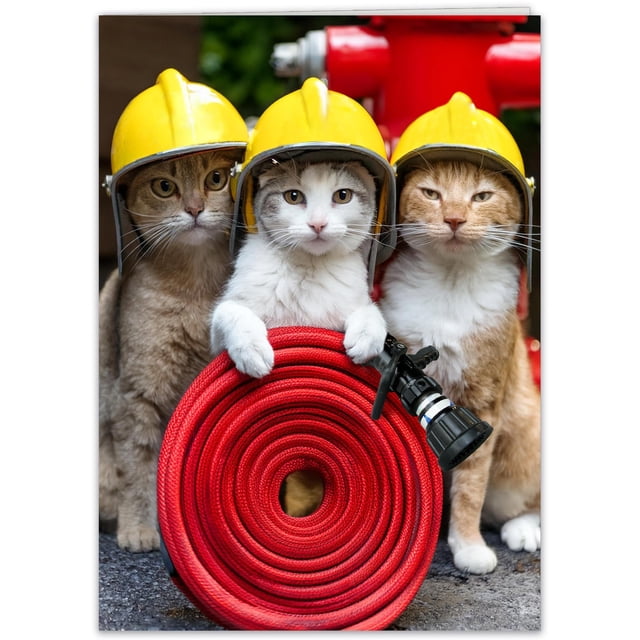 Tarjeta de felicitación para cumpleaños de un divertido gato con tarjeta postal adicional
