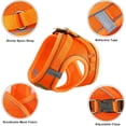 thumbnail image 2 of Arneses y correas para gatos Arnés antiescape para gatitos Arnés reflectante ajustable para gatos Chaleco transpirable Arnés para perros pequeños (M), 2 of 5