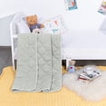 thumbnail image 3 of Ultra Soft Microfiber Toddler Comforter - Down Alternative Lightweight Crib Quilted Blanket, 39" x 47", Light Gray, Ntbay, 3 of 5