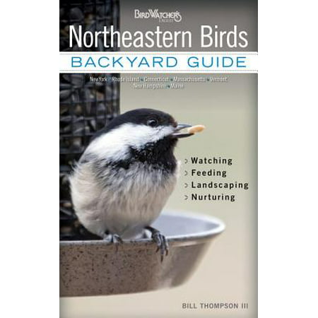 Northeastern Birds : Backyard Guide - Watching - Feeding - Landscaping - Nurturing - New York, Rhode Island, Connecticut, Massachusetts, Vermont, New Hampshire, (Best Camping In New Hampshire)