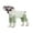 Green, variant on BT Bear Small Dog Jumpsuit, Small Dog Recovery Suit, Stripe Anti-Shedding Dog Pajamas Pjs, After Surgery Dog Onesie Shirt, Dog Sweater Coat for Puppy Small Dog Pink M
