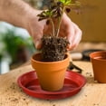 thumbnail image 4 of Planting Trays Plants Water Catcher Planter Plates to Indoor Flowerpot Pp 10 Pcs, 4 of 6