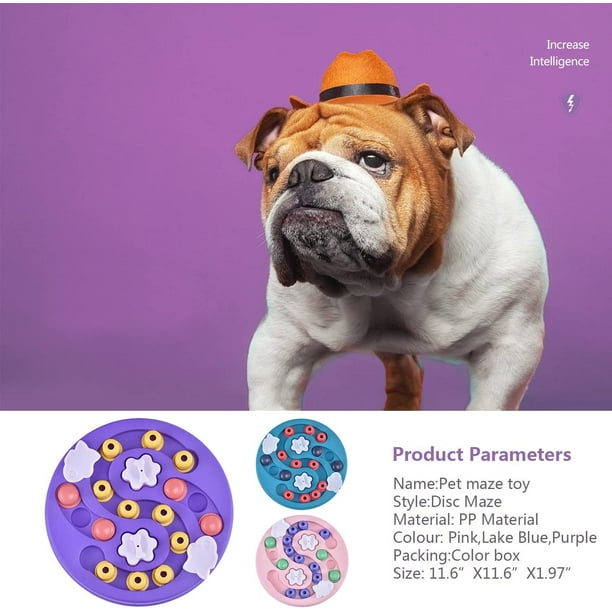 Dog maze toys online