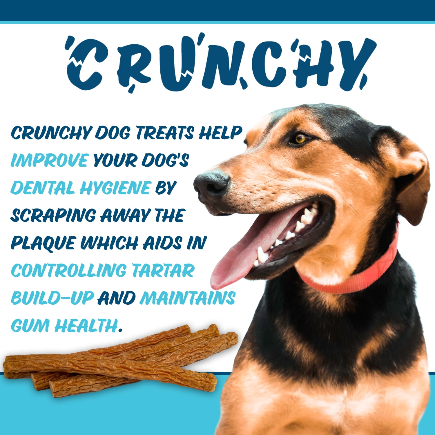Texas Pet Company Chicken Jerky Crunchy Bars Dog Treats Chicken Flavor 15ct New