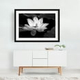 thumbnail image 2 of Ethereal Blossom - Photography Black and White Floral Flowers Nature Minimalist Botanical Scenic Black Framed Wall Art Print 5 x 7 inches, 2 of 4