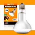 UVA Reptile Heat Lamp 50 Watt Bulb Basking Light (Single Bulb