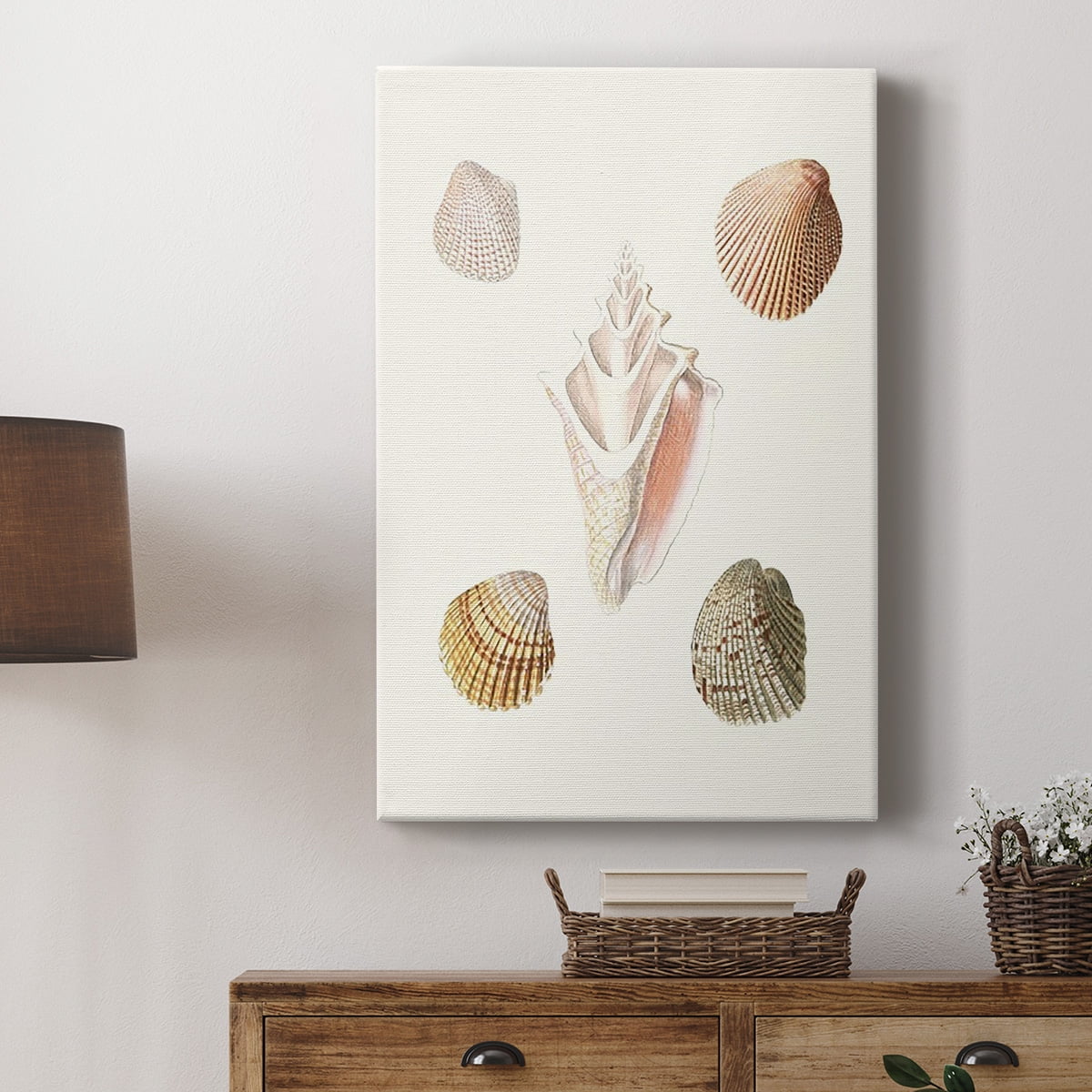 Pastel Knorr Shells IX Premium Gallery Wrapped Canvas - Ready to Hang
