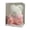 B, variant on Room Decor, Valentines Day Rose Teddy Bear 10 In Artificial Rose Flower Bears With Lights Including Transparent Gift Box, Holiday Gifts