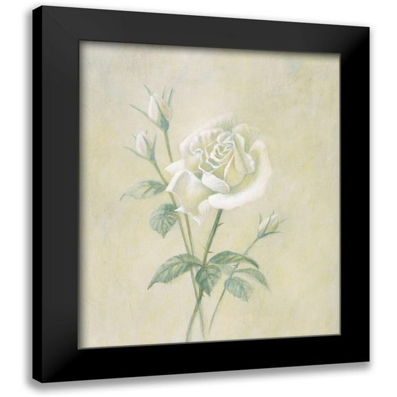 Unknown 12x14 Black Modern Framed Museum Art Print Titled - White Rose