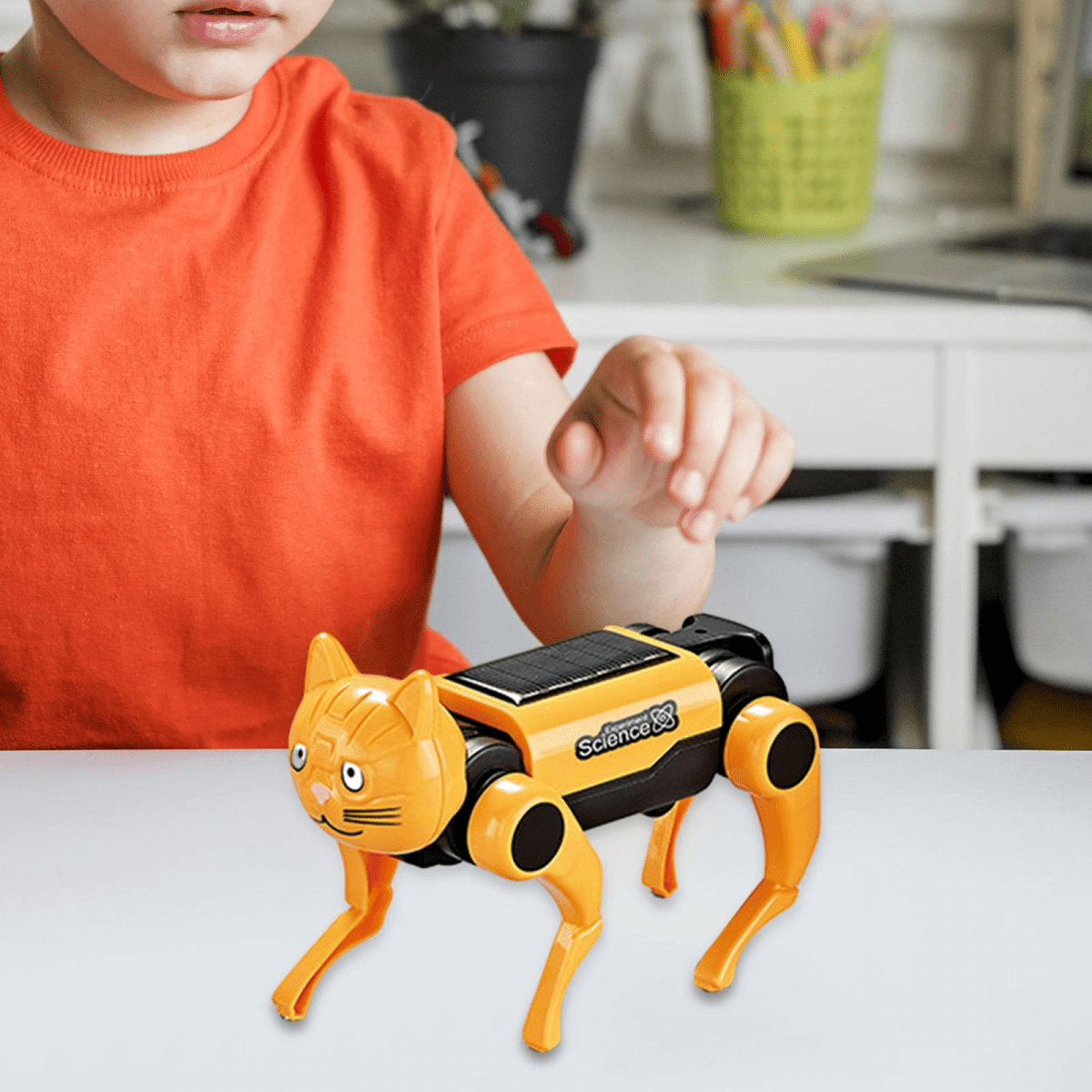 Solar Robot Toy Electric Robotic Dog with Interchangeable Cat Heads DIY Building Kit for Kids Christmas Birthday Gifts