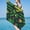 C, variant on SDJMa Microfiber Beach Towels, Oversized, Quick Dry (30" x 60") Sand Proof, Absorbent, Compact, Beach Blanket, Lightweight Towel for The Swimming, Sports, Beach, Gym-Cactus