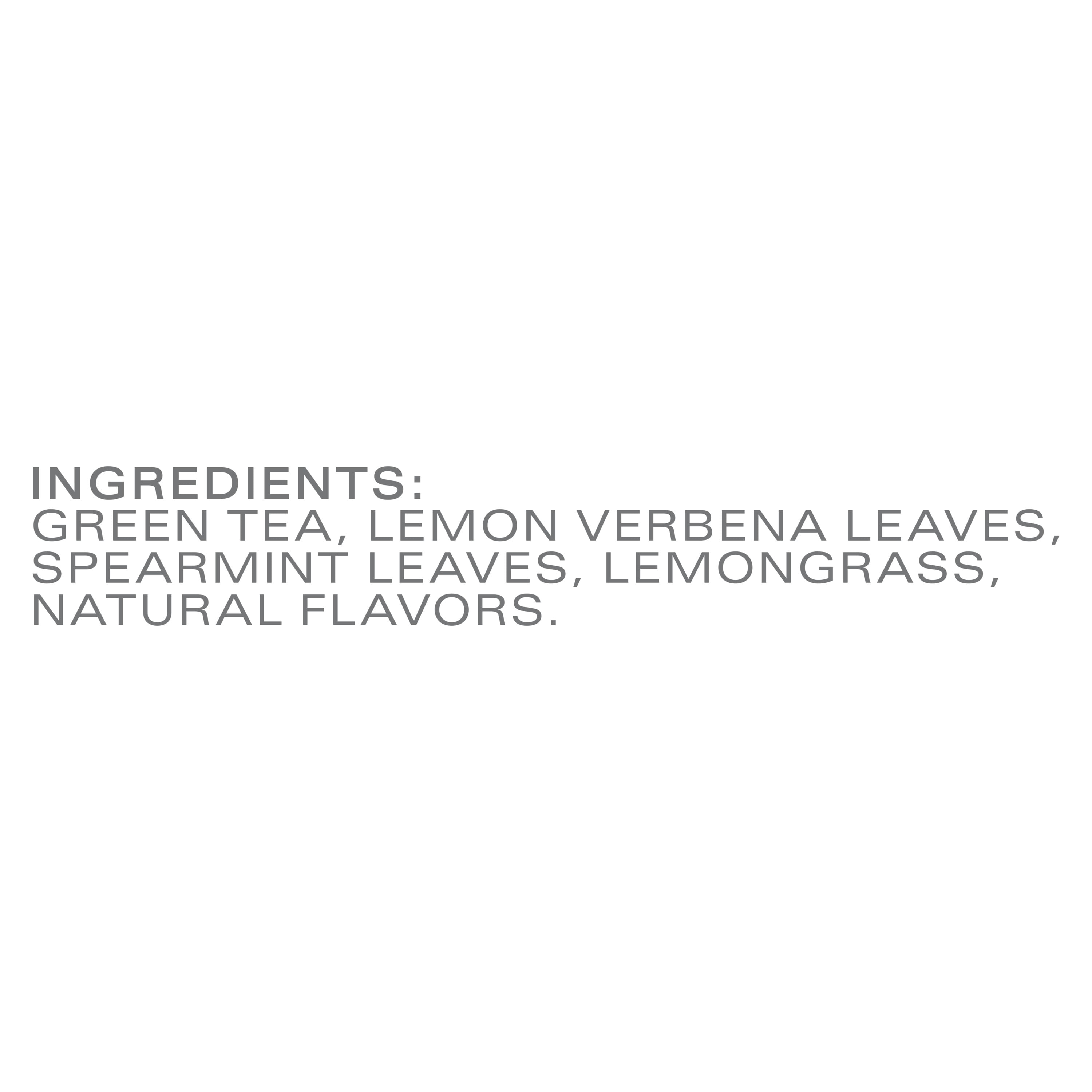 TAZO Zen Green Tea, Caffeinated, Tea Bags 48 Ct