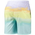 thumbnail image 3 of Men's G-III Sports by Carl Banks St. Louis Cardinals Perfect Game Volley Board Shorts, 3 of 3