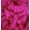 Fuchsia, variant on EOVEA Shaggy Faux Fur Fabric by The Yard - 360" X 60" Inch - Long Pile Fur - Fake Fur Materials - Soft & Fluffy Craft Fabric Supplies for DIY Arts & Crafts, Apparel, Costumes, Rugs