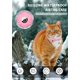 thumbnail image 5 of Collar para gatos con Airtag - Seguimiento GPS, hebilla de seguridad y bandas reflectantes, ajustable 20-33cm, incluye campana extraíble. ¡Encuentra a tu mascota fácilmente de día o noche!, 5 of 7