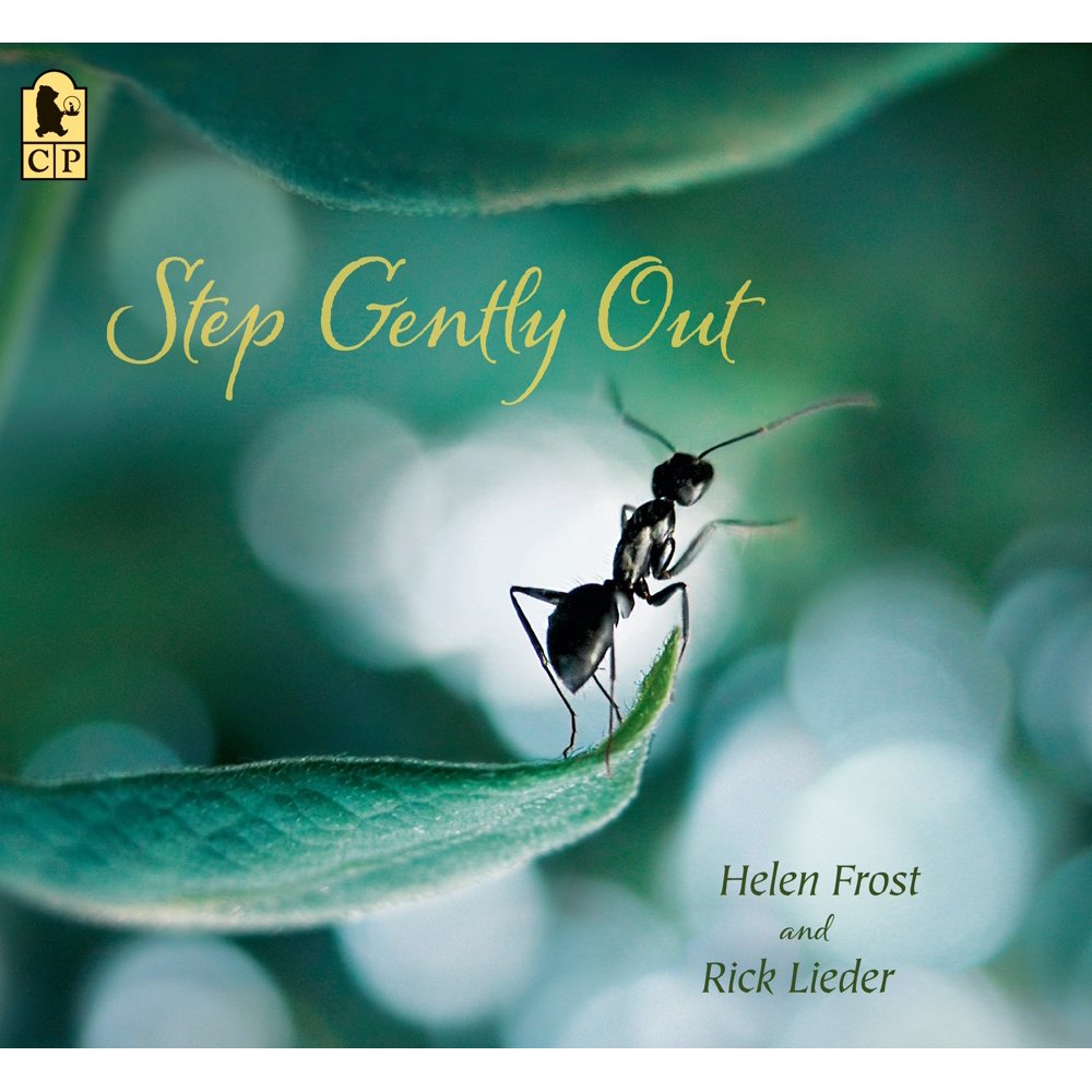 Step Gently Out (Paperback)