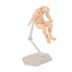 thumbnail image 4 of Cuerpo de figura de acción, Poses personalizables, PVC duradero móvil, maniquí de dibujo ampliamente utilizado para oficina familiar, Color de piel para hombre, 4 of 5