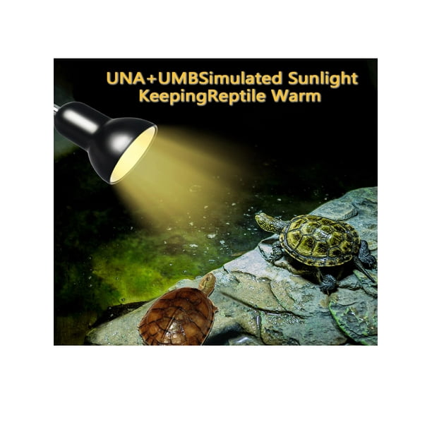 Uvb lamp for turtles walmart cheap