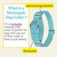 thumbnail image 4 of Country Brook Petz® Martingale Dog Collar - Training Collar with No Buckle (Ocean Blue, Extra Large), 4 of 5