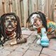 thumbnail image 3 of 4X Juguetes Divertidos para Perros - Juguetes de Peluche Chirriantes para Medianos y PequeñOs - Lindos Regalos Rellenos Geniales para CumpleañOs de Perros, 3 of 8