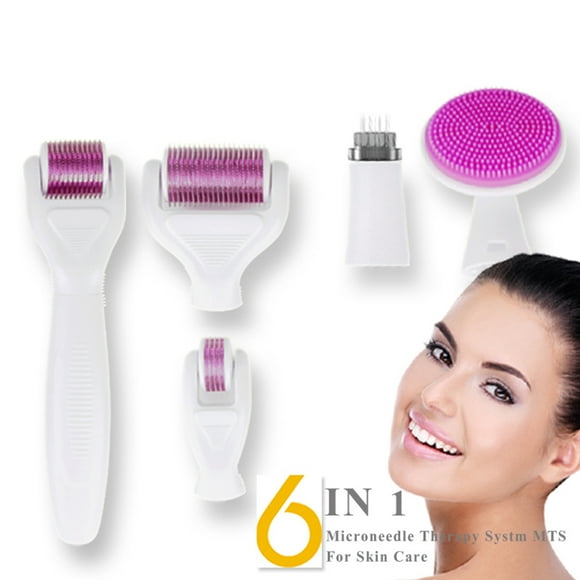 Derma Roller 6 en 1 Micro agujas Derma Roller para el cuidado facial con microagujas y bandeja desinfectante