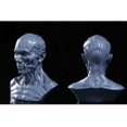 thumbnail image 2 of Dalazy 4 Human Model Anatomy Skull Head Muscle Drawing White#2 Grey, 2 of 6