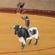 thumbnail image 3 of Figuras Infantiles Decoraciones Fiesta Modelo Toro 2, 3 of 9